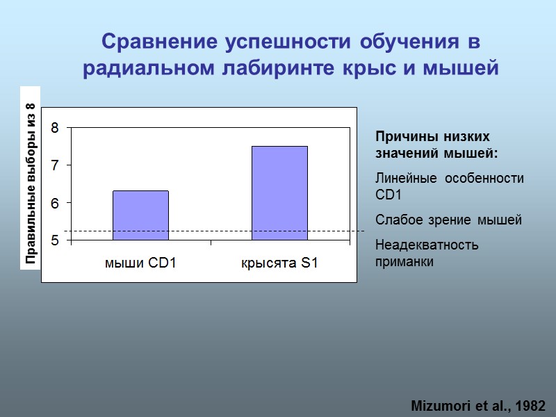 Сравнение успешности обучения в радиальном лабиринте крыс и мышей Mizumori et al., 1982 Причины